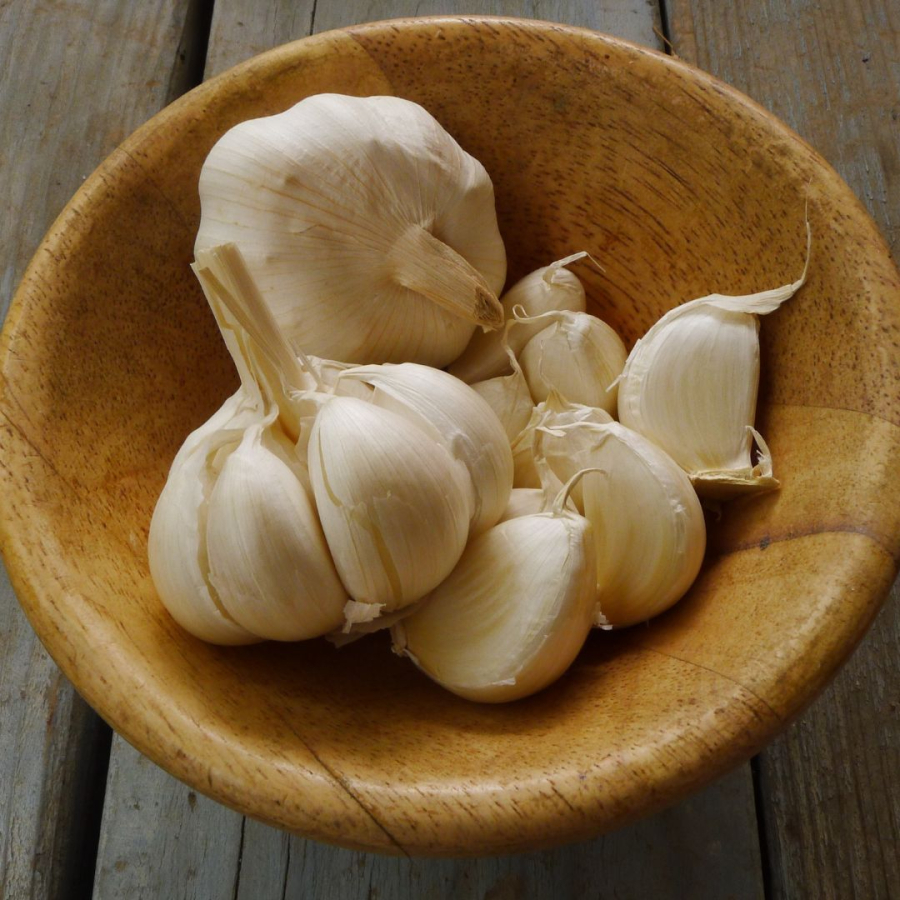 Tỏi khiến chuột sợ