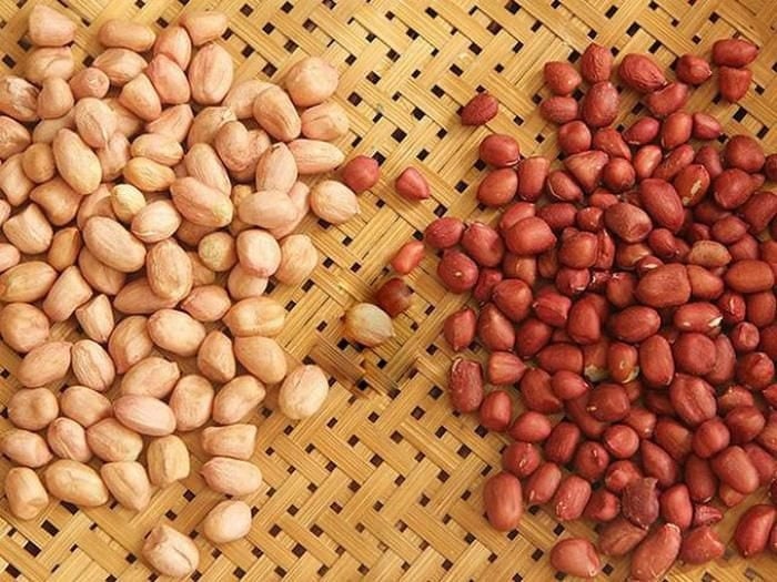 Chọn lạc mẩy, chắc và không bị hư hỏng, ra dầu