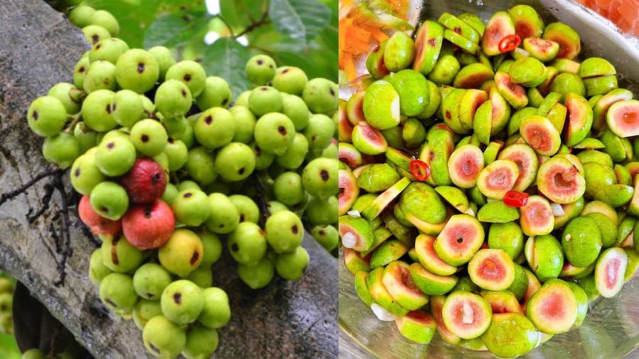 Đây thực chất là hoa nhưng lại được gọi thành quả