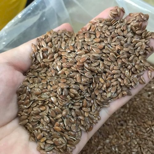 5 loại hạt giúp phục hồi gan, ăn vào gan lành mạnh từng, Sh88bet đăng ký miễn phí thải hết độc
