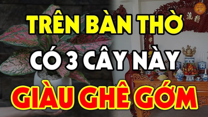 Cây đặt lên bàn thờ Thần Tài giàu có