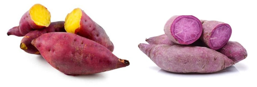 Chọn khoai lang nên chọn khoai vàng hay khoai tím
