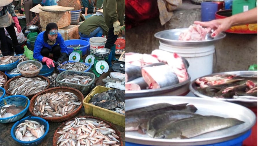 Chọn cá tươi ngon quyết định chất lượng nồi cá kho