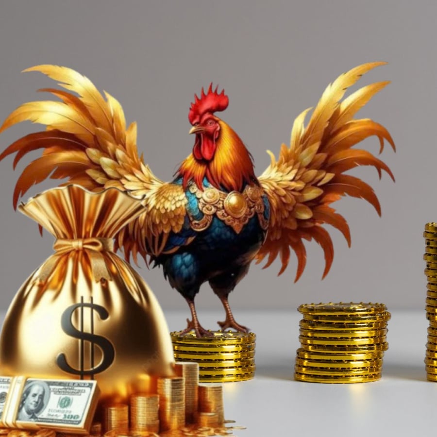 Tuổi Dậu vượng khí tăng cao