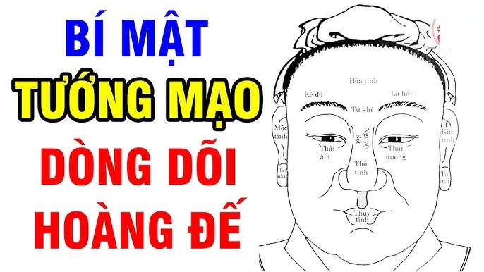 Mắt là 