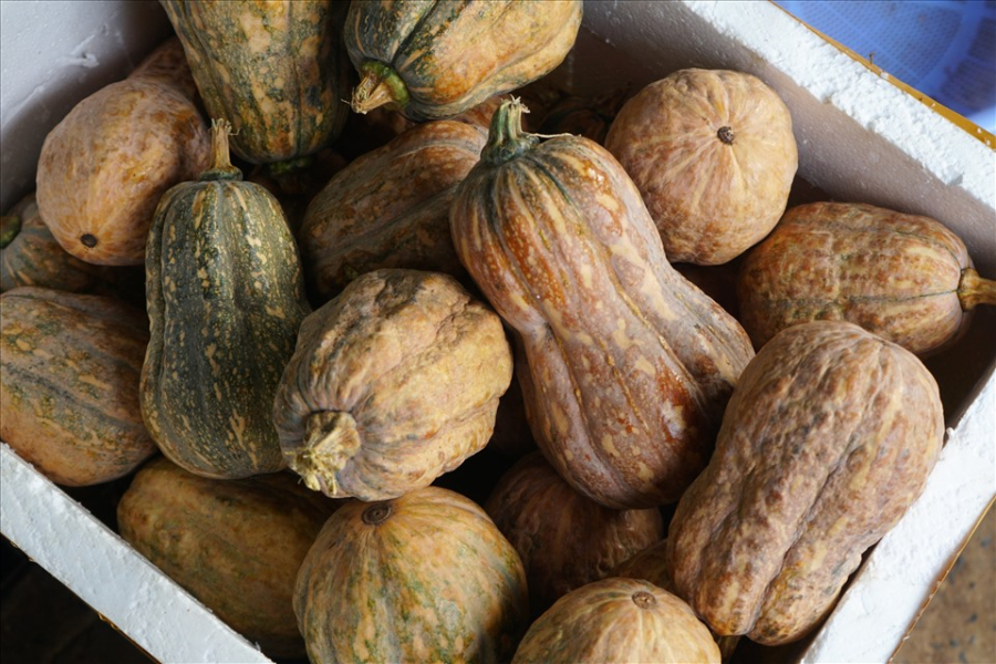 Những ai không nên ăn bí đỏ?