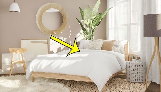 Đối với khách lưu trú, việc nhìn thấy lông hay tóc của người trước để lại là điều vô cùng khó chịu.