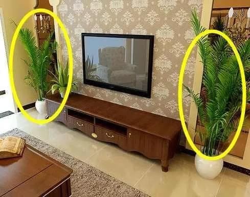 Lối vào nhà là không gian đầu tiên mà chúng ta nhìn thấy khi bước vào, vì vậy việc trang trí sảnh vào rất quan trọng.