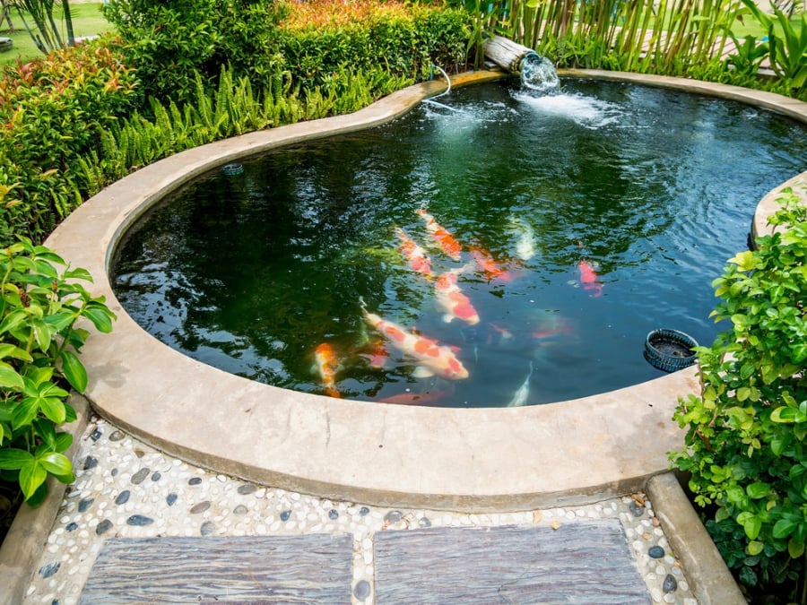 Bể cá tượng trưng cho yếu tố thủy – thuộc âm trong ngũ hành. 