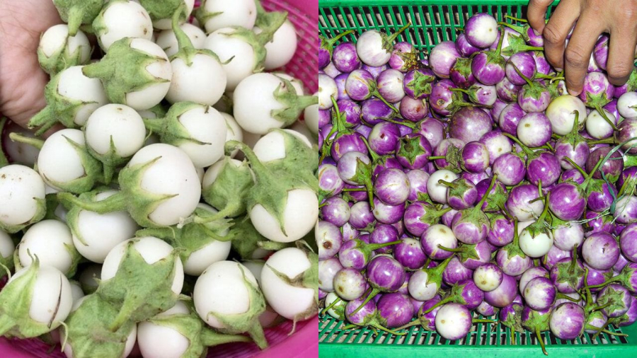 Chọn cà pháo ngon là cách để cho món cà pháo muối chua được ngon