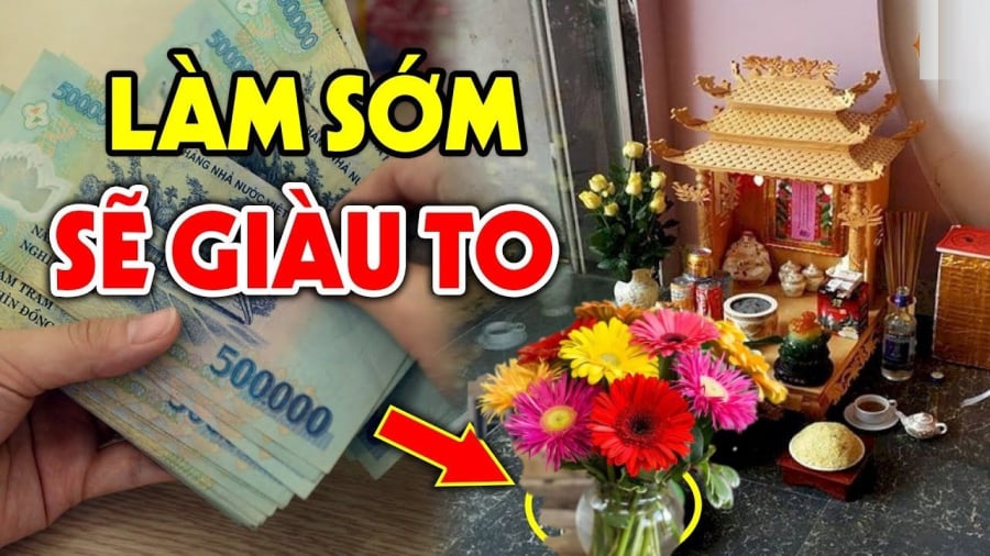 Hoa đồng tiền là biểu tượng nổi bật của sự tài lộc và thịnh vượng. 