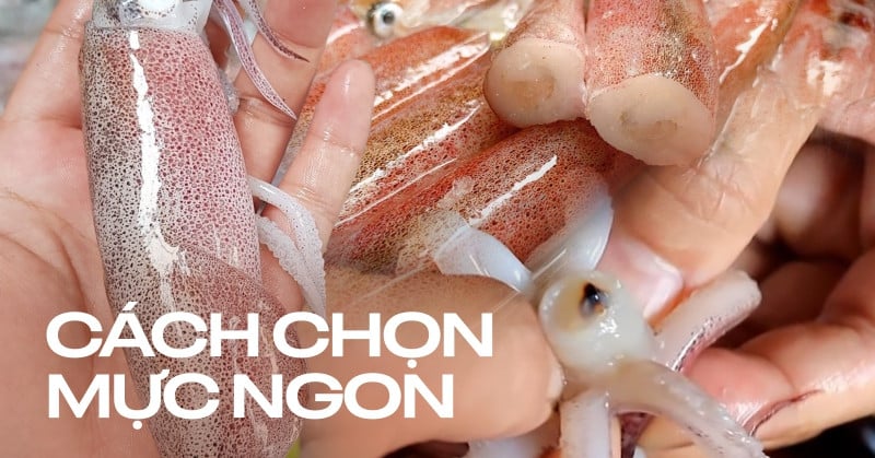 Cách chọn mực tươi ngon