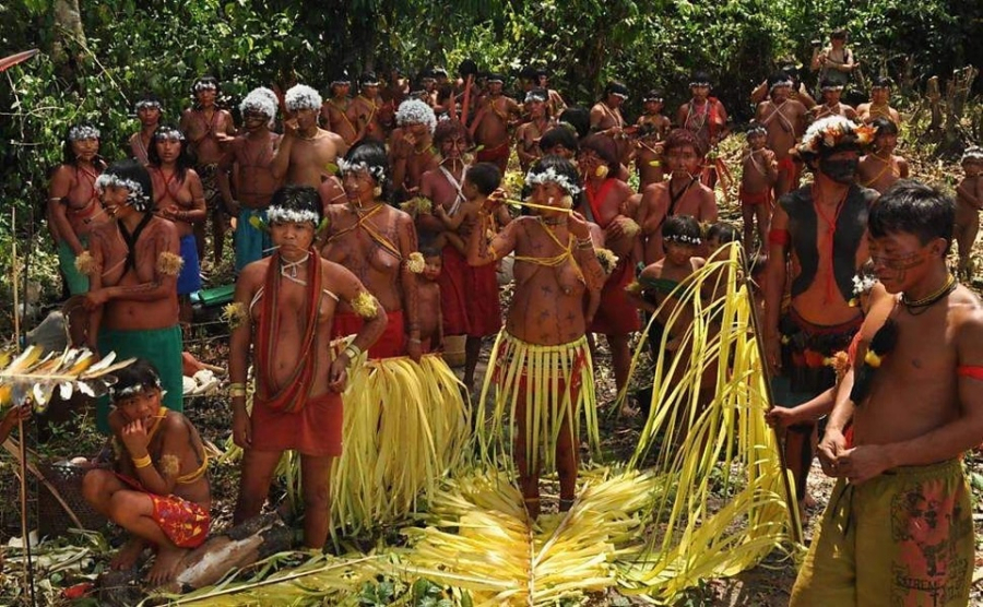 Người Yanomami phân công công việc rất rõ ràng giữa nam và nữ