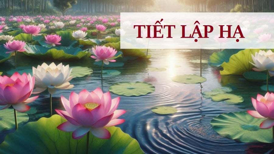 Tiết Lập Hạ là thời điểm đánh dấu mùa hè bắt đầu, nhiệt độ tăng lên nên con người cần phải chú ý đến việc thay đổi các thói quen sinh hoạt.