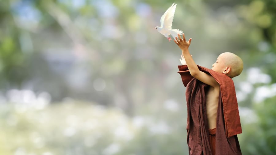 Người sống thiện lành ngày càng giàu phúc báu
