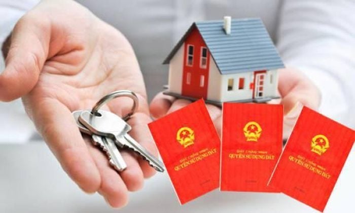 Trường hợp cần sang tên Link nhập code shbet https freecode shbet pages dev