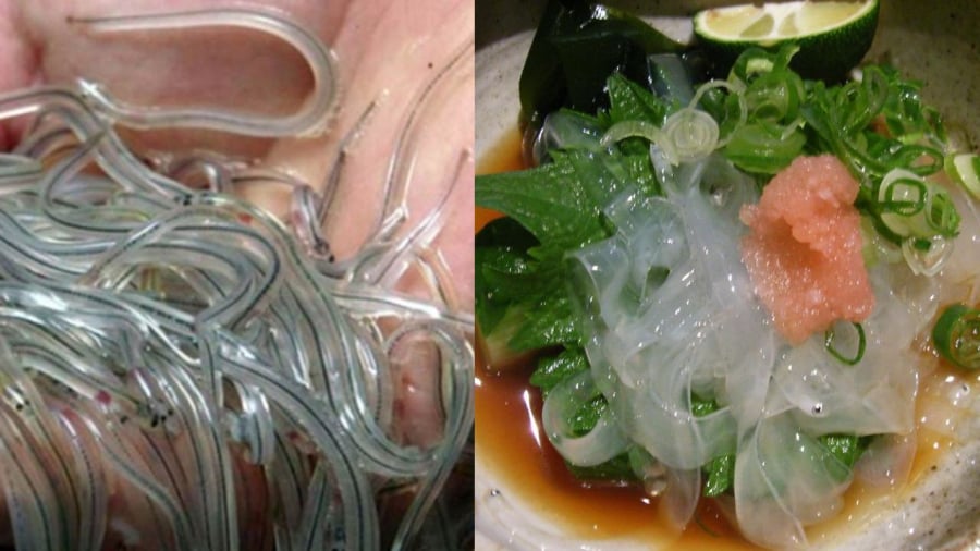 Giá lươn thủy tinh đắt đỏ như giá vàng
