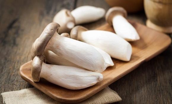 Nấm đùi gà chứa nhiều polysaccharides – hợp chất giúp kích thích sản xuất tế bào miễn dịch, tăng cường khả năng bảo vệ Sh88bet đăng ký miễn phí trước các tác nhân gây bệnh.