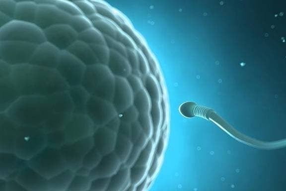 Theo Hiệp hội Ung thư Hoa Kỳ, mỗi năm có khoảng 161.000 ca ung thư tuyến tiền liệt mới được chẩn đoán ở nam giới trưởng thành, với hơn 26.000 ca tử vong do căn bệnh này. 