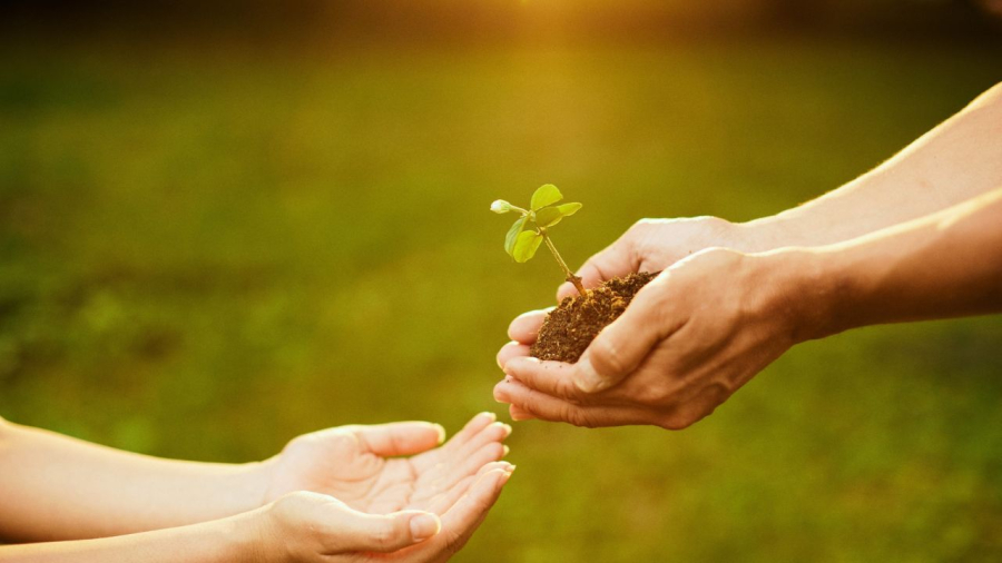 Sự thật rằng không phải cứ tốt với người thì người sẽ tốt lại