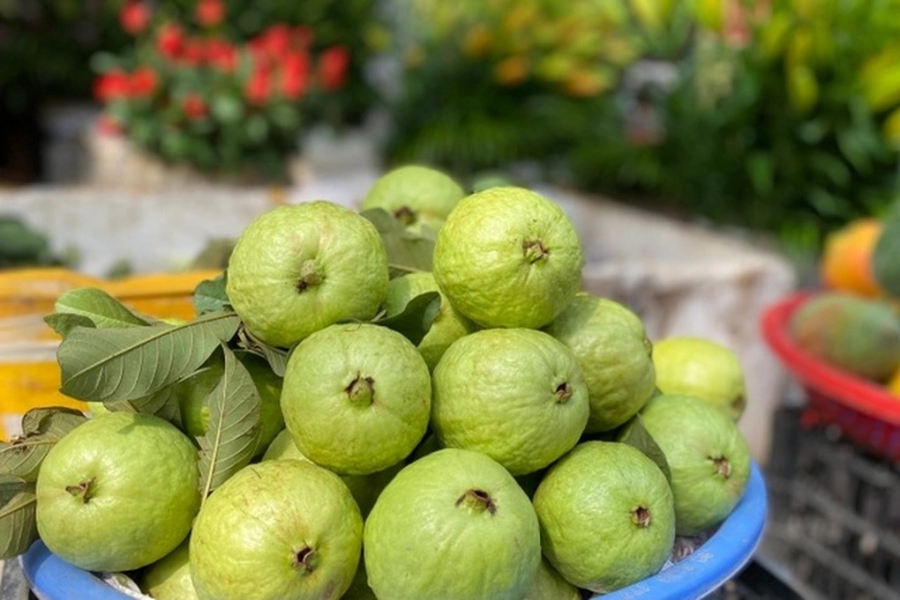 Ổi là loại quả rất phổ biến ở Việt Nam, không chỉ rẻ mà còn giàu vitamin C gấp 4 lần cam. 