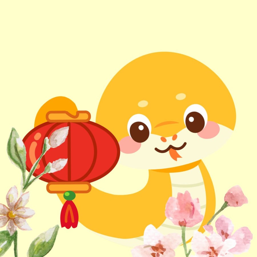 Từ nay tới hết 2028, tuổi Tỵ có cơ hội thắng lớn
