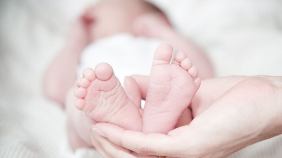Ra đời trong thời điểm vàng giúp con và cha mẹ hòa hợp thuận lợi