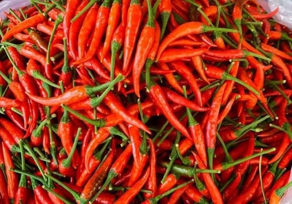 Cụ thể, quả ớt nổi bật nhờ capsaicin – hợp chất tạo vị cay đặc trưng và đóng vai trò quan trọng trong việc duy trì sức khỏe tim mạch.    