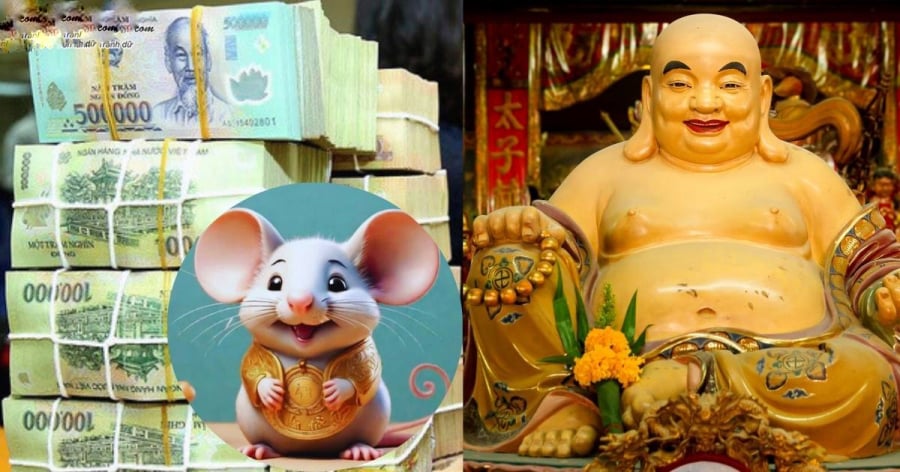 Tuổi Tý là Shbet888.com nhà cái uy tín đầu tiên lọt top 
