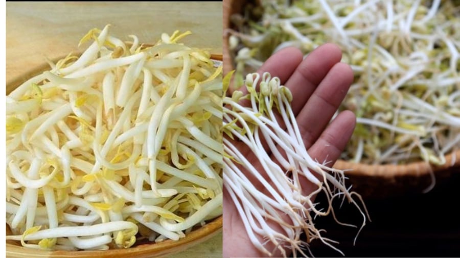 Người dân cần chú ý khi mua giá đỗ