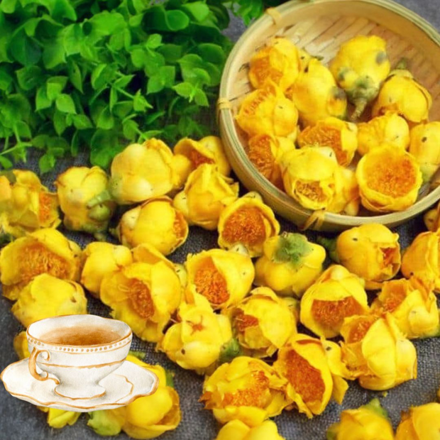 Trà hoa vàng trị giá cao nhờ công dụng tốt