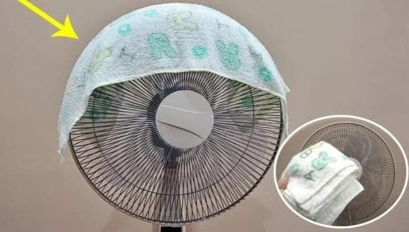 Vào những ngày hè oi bức với nền nhiệt trên 30 độ C, quạt điện thường chỉ thổi ra luồng gió nóng, không đủ để xua tan cái oi nồng. 