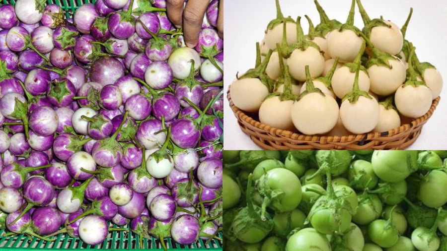 Chú ý khi chọn cà