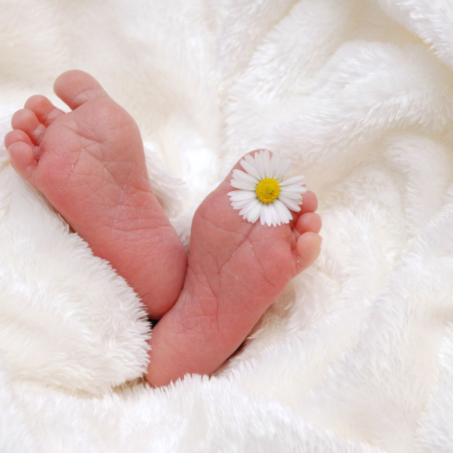 Em bé sinh giờ Thìn thường tài giỏi