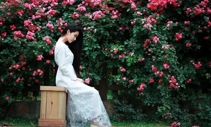 Nợ tình cảm – gieo một lần, mang tội cả đời    