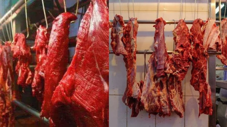 Các loại thịt mà con người ăn chủ yếu là từ động vật ăn cỏ (bò, trâu, lợn, gà, dê, cừu...)
