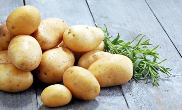 Nhiều người sợ khoai tây mọc mầm nên cho vào tủ lạnh, nhưng đây lại là cách làm phản tác dụng. Nhiệt độ thấp khiến tinh bột trong khoai chuyển hóa thành đường. 