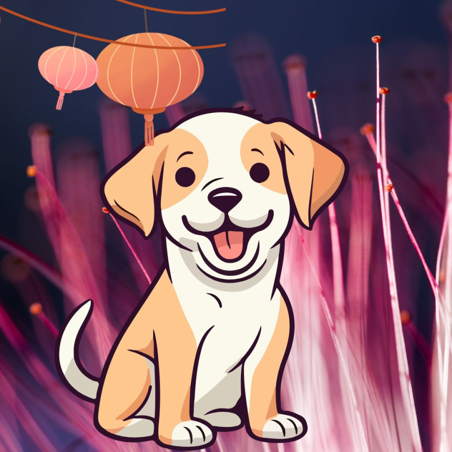 Tuổi Tuất đón năm 2026 bừng sáng