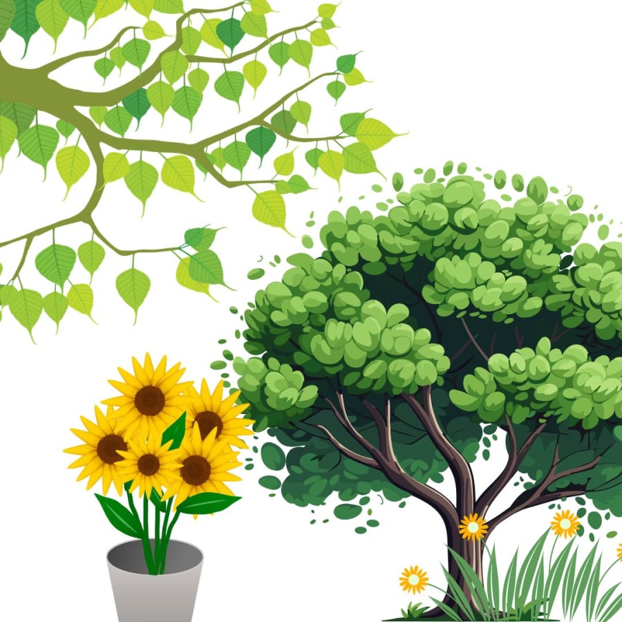 Cây cối xanh tươi đâm chồi nở hoa kết quả báo hiệu phong thủy thuận lợi