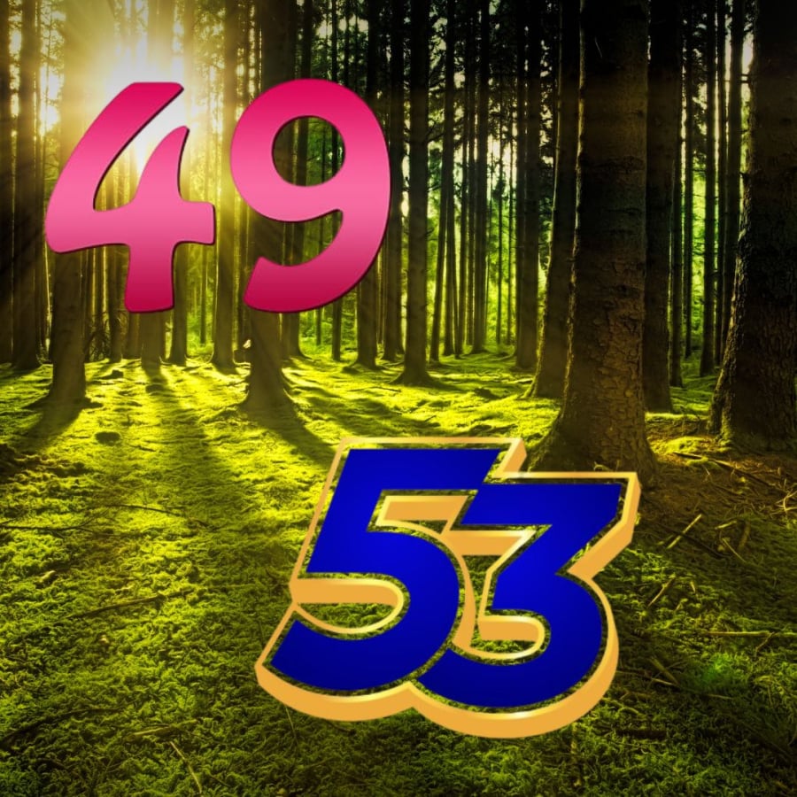 Con số 49, 53 gắn liền với những quan niệm dân gian 
