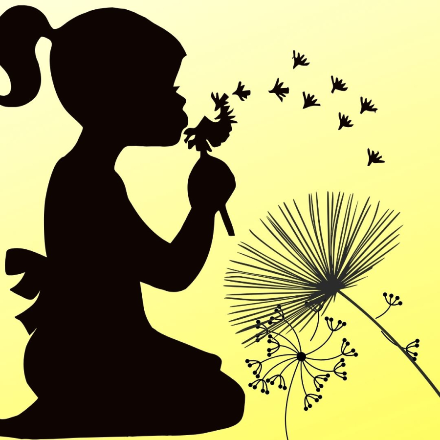 Lòng ít oán hận thì đời thênh thang