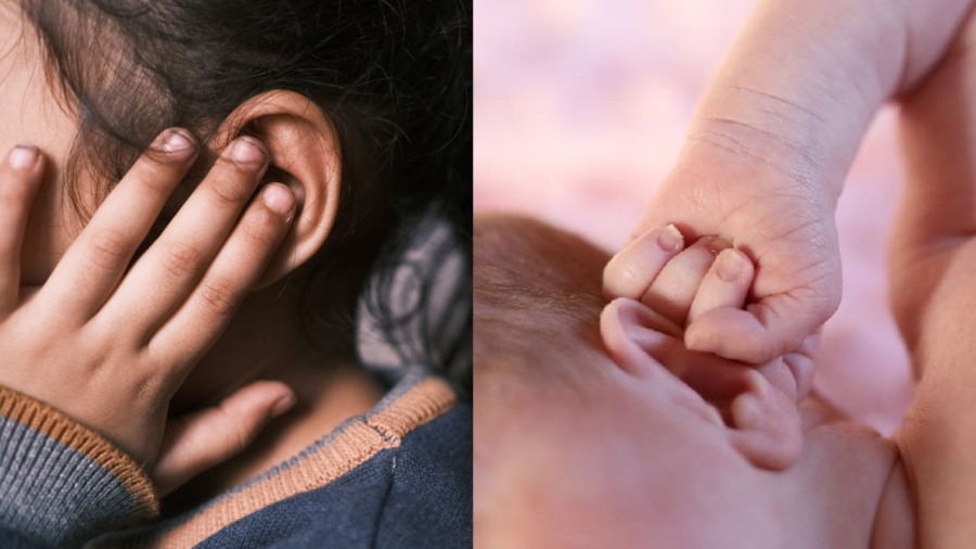Kích thước đôi tai có liên quan tới trí thông minh