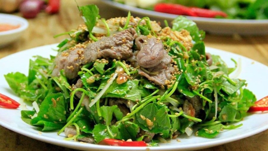 Rau má không chỉ là nguyên liệu trong các Shbet0099 cá cược trực tuyến dân dã mà còn là bài thuốc quý trong y học cổ truyền