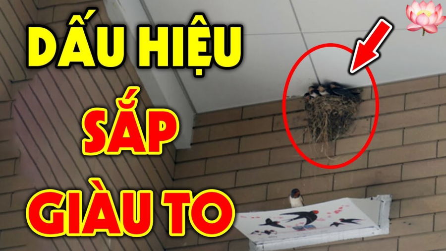 Chim Chóc Ghé Qua – Phúc Báo Tự Đến, Quý Nhân Tự Tìm    