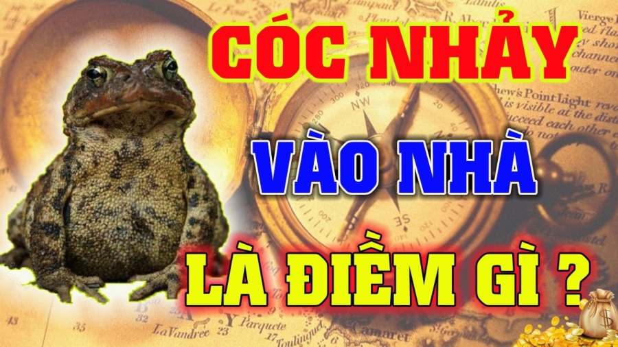 4 con vật Đệ Tử Thần Tài, vào nhà nào nhà đấy Tiền Tài nảy số