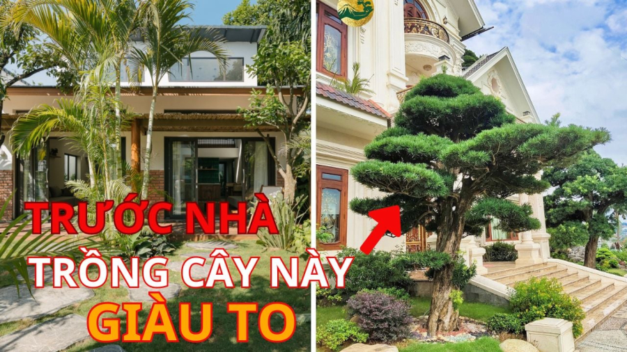 Tứ kỵ trước nhà nên tránh