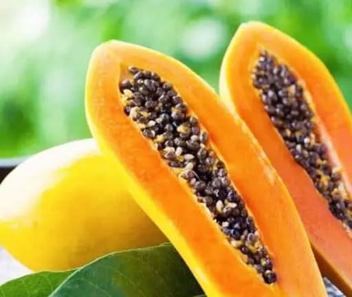 Loại quả này chứa một enzyme đặc biệt gọi là papain – có khả năng hỗ trợ tiêu hóa và hấp thụ dinh dưỡng hiệu quả. 
