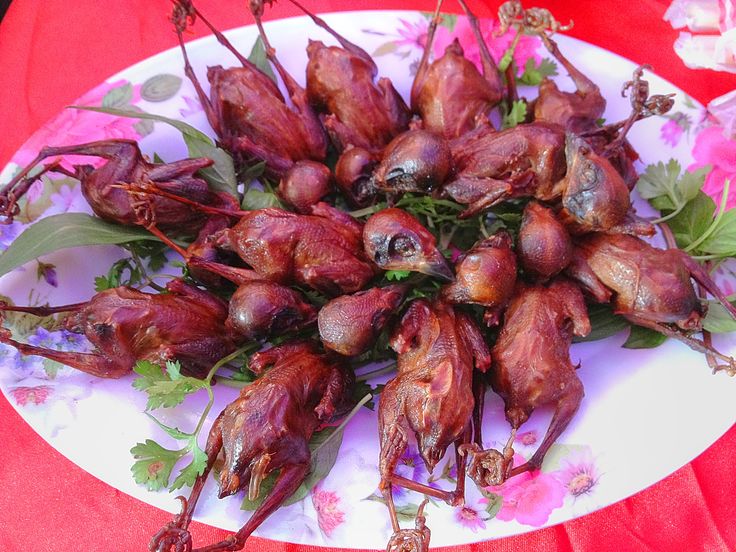 Đây chính là Shbet0099 cá cược trực tuyến cầu kỳ bậc nhất, từng được ghi chép trong các tài liệu cung đình