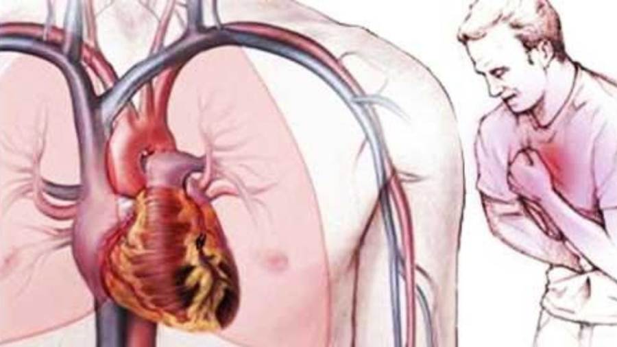 Tim là bộ phận Sh88bet đăng ký miễn phí hiếm khi bị ung thư