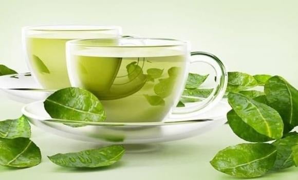 Một điểm quan trọng cần nhấn mạnh: khi Shbet888.com tỷ lệ cược cao nhắc đến “trà xanh”, điều này chủ yếu ám chỉ chiết xuất cô đặc từ trà xanh, không phải việc uống trà xanh thông thường.